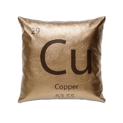 Pillow 309